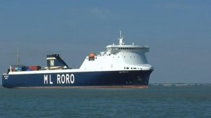 Морские и речные корабли гражданского флота.