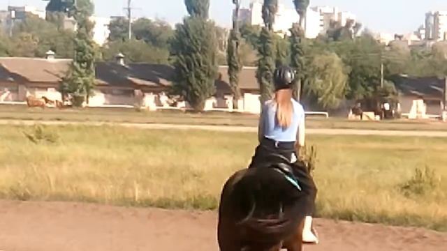 Мой тренировки верхом на лошади смотреть онлайн