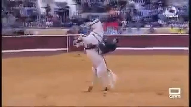 Caballo brillante de la cuadra torera del Rejoneador Andy Cartagena смотреть онлайн