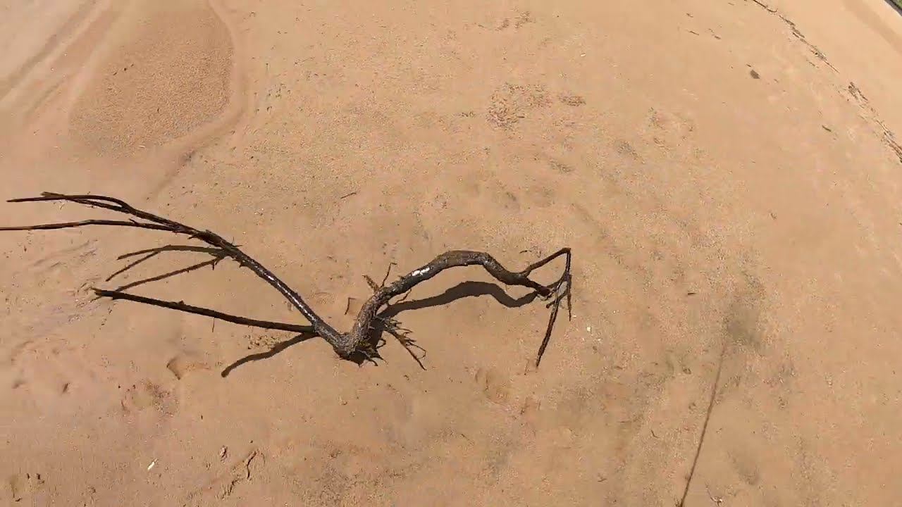 УДАЧНАЯ Рыбалка на спиннинг у Хабаровска. Река Амур смотреть онлайн