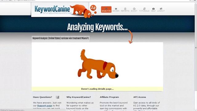 Local KW Research - Canine Style смотреть онлайн