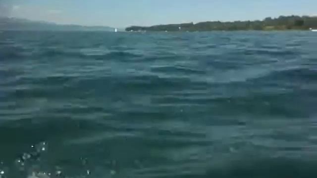 Seahawk 2 смотреть онлайн