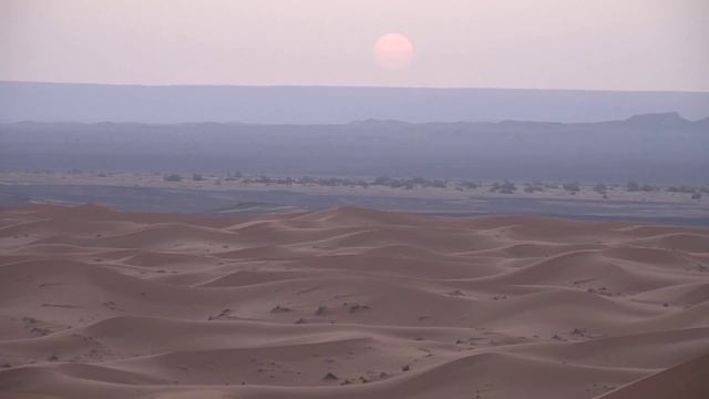 Alone In Desert - The Diner смотреть онлайн