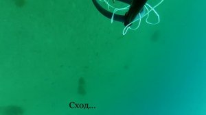 Подводная охота в Ливадии, бухта Стрельбище. Осьминог, Морской черт.