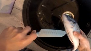 как разделывать дорадо