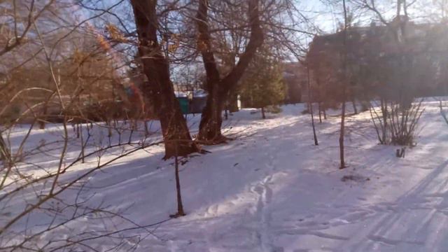 Хабаровск 8-го января 2020 г. смотреть онлайн