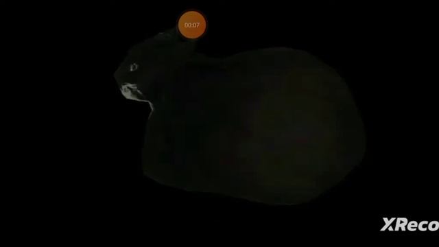 кот крутится ХАХАХАХА смотреть онлайн