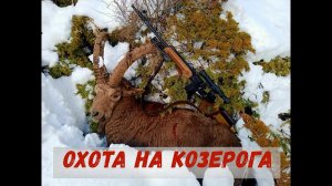 Горная охота на Козерога! Видео от подписчика. Охота на козерога с подхода!