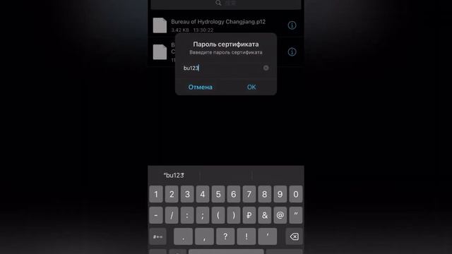 Как скачать тик ток мод на айфон через есигн/esign? // Иностранный тик ток мод на айфон! смотреть онлайн