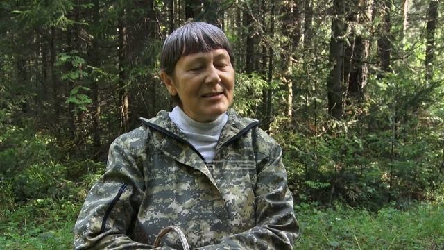 Пора в лес за грибами. В национальном парке «Таганай» начался сезон «тихой охоты» смотреть онлайн