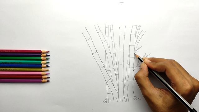 How to Draw a Bamboo Tree I Bamboo Tree Drawing Tutorial смотреть онлайн
