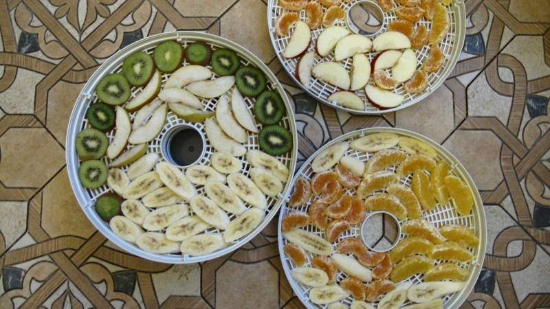 Электросушилка для овощей и фруктов Binatone FD-2685. Ремонт.