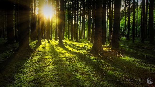 Huge, Deep Singing Bowl Played Softly - No Music - Sounds for Meditation & Sleep смотреть онлайн