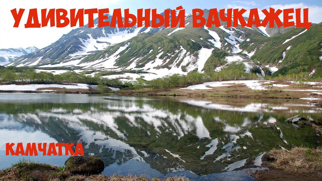 Камчатка Удивительный Вачкажец смотреть онлайн