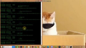 как взломать пентагон не по настоящему