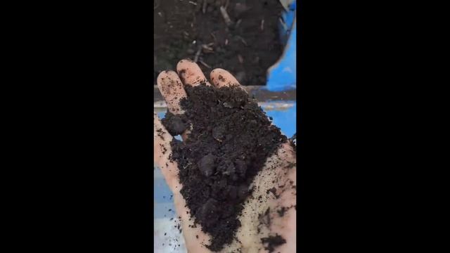 Земля(чернозём) смотреть онлайн