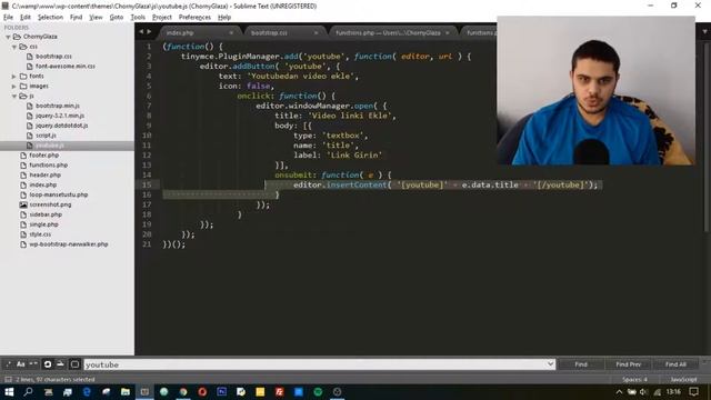 Wordpress'te tema yapımı ders #35 (Sİngle.php'de YouTube’dan video ekleme ayarları yapıldı) смотреть онлайн