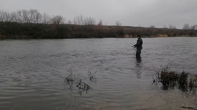 2 минуты и карп, рыбалка кастинговой сетью в ноябре смотреть онлайн