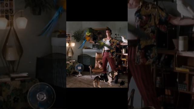 Jungle friends | Ace Ventura Pet Detective (1994) смотреть онлайн