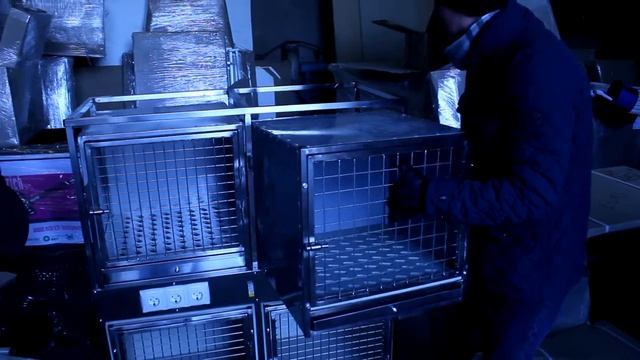 Клетки для ветеринарных стационаров смотреть онлайн