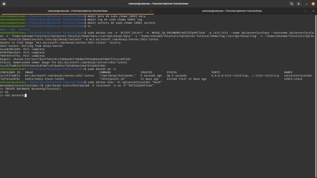 Install SQL Server locally on Ubuntu Using Docker смотреть онлайн