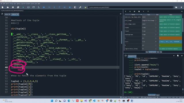 tuple introduction in python смотреть онлайн