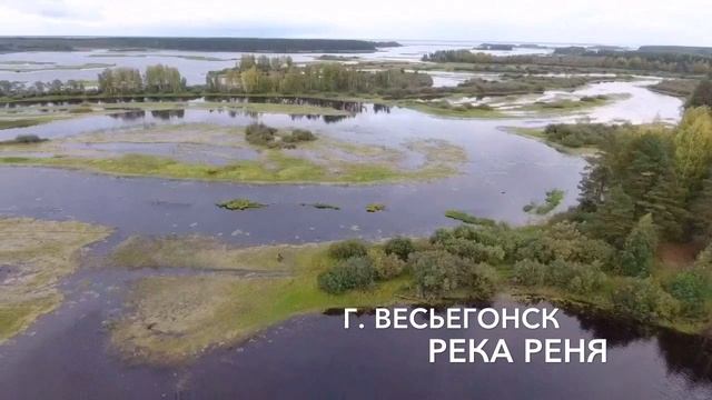Река Реня | Весьегонск Рыбинское Водохранилище смотреть онлайн