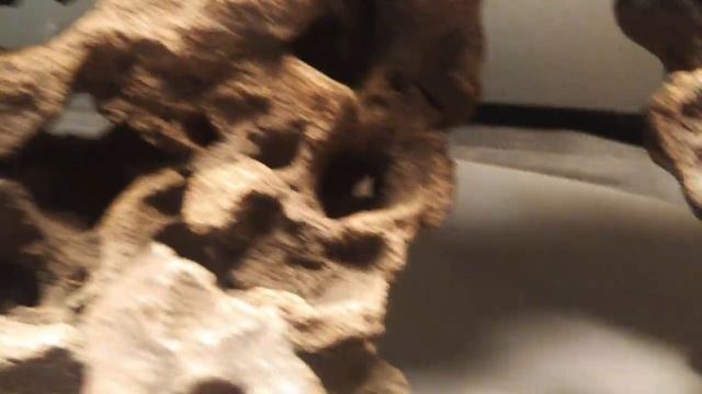 Аквариумные камни для цихлид. смотреть онлайн