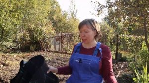 Не хочу больше гнуть спину! Закладываю ягодник на агроткани ❘ Малина ремонтантная и земляника