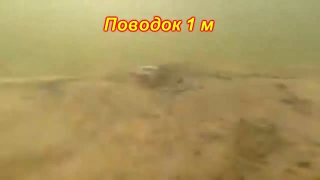 Реально,изменив длину поводка оторвать насадку от ДНА؟ смотреть онлайн