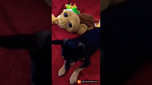 Дени 6 месяцев🥰 смотреть онлайн