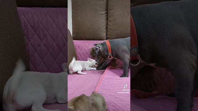 2022-07-19-054930811.mp4 смотреть онлайн
