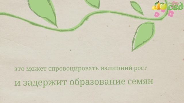 Делай То, Что Вдохновляет