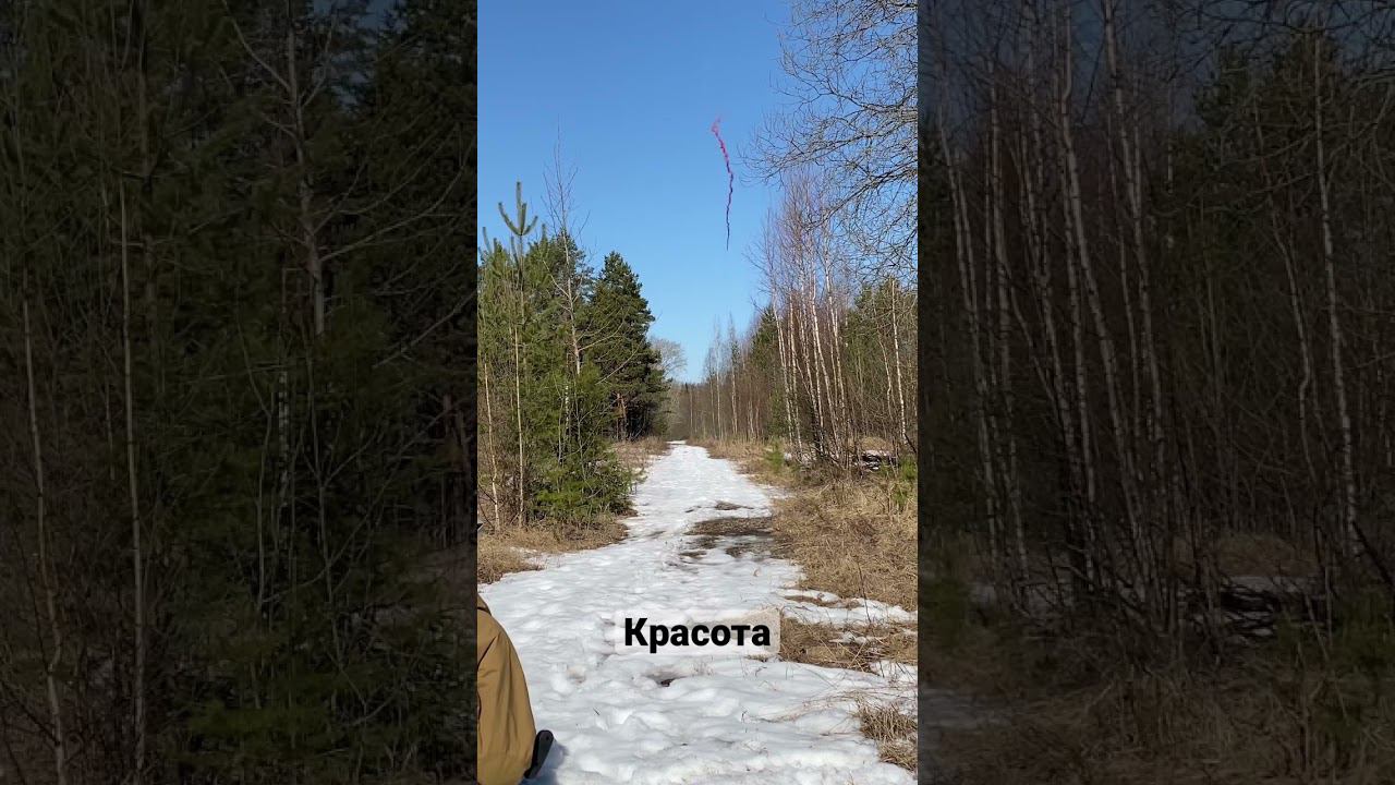 Velum by TagInn / дымовой выстрел #weapons #army #airsoft смотреть онлайн