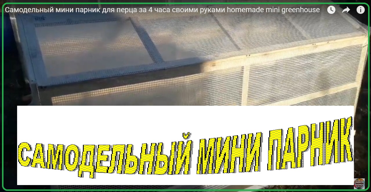 Самодельный мини парник для перца за 4 часа своими руками homemade mini greenhouse смотреть онлайн