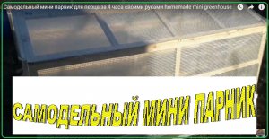 Самодельный мини парник для перца за 4 часа своими руками homemade mini greenhouse