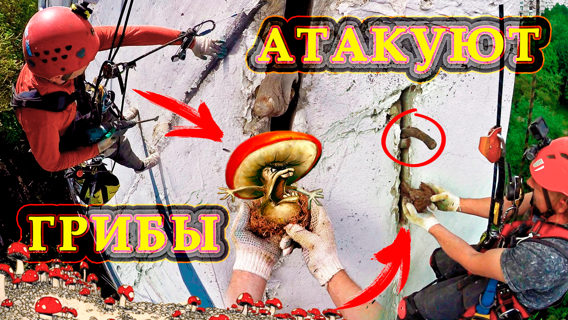 Грибок и плесень атакуют. Ремонт межпанельных швов. смотреть онлайн