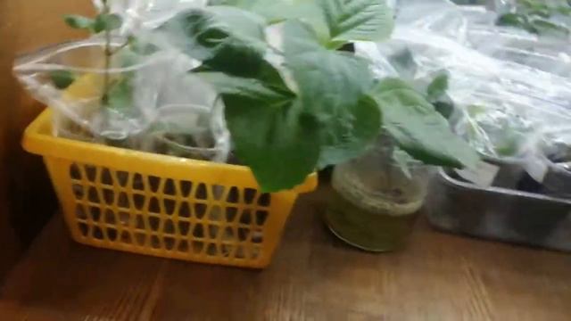 Мой детский сад 🌿. смотреть онлайн