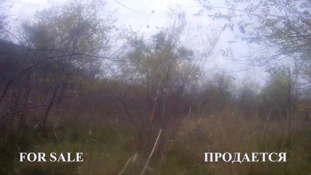 Работа по фазану. Курцхаар Бинго. смотреть онлайн
