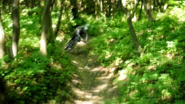 Nikon D 5000 .avi смотреть онлайн