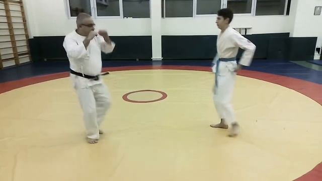 9| Reishinin ryu Aikijutsu 2020 | Profight mix jutsu | 9 kyu | ashi osae 11 form смотреть онлайн