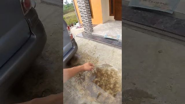 review hyundai trajet gl8 cvvt 2006 смотреть онлайн