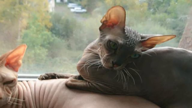 Мое богатство смотреть онлайн