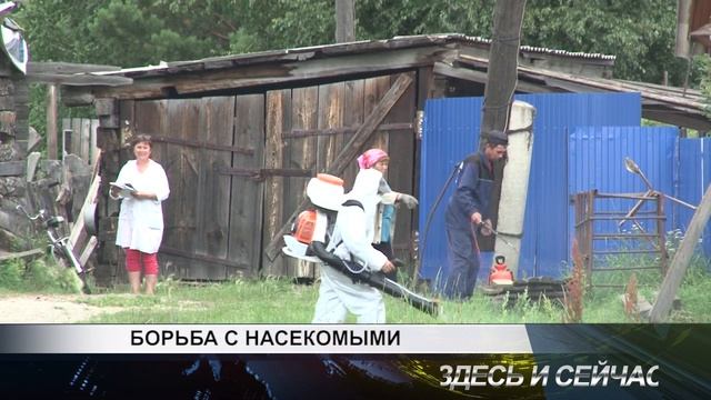 началась борьба с комарами в Канске смотреть онлайн