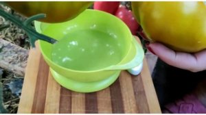 Сорт томата- Зелёная тайна личинки ?