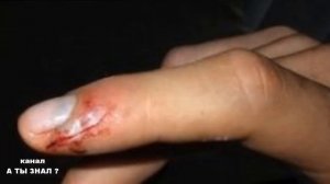 Как применять клей БФ 6