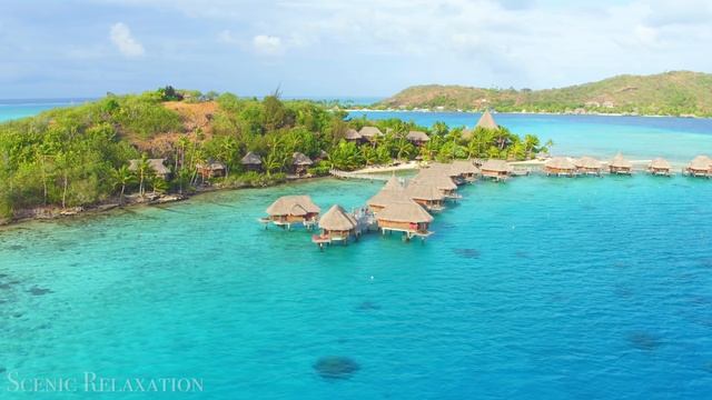 Французская Полинезия 4K - Живописный Расслабляющий Фильм С Успокаивающей Музыкой. смотреть онлайн