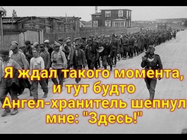 Он мне сказал, что бежать не может. Я глянул на него, он весь дрожал. смотреть онлайн
