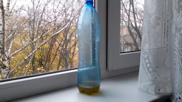 Как избавиться от мышей в частном доме народными средствами to catch mice смотреть онлайн