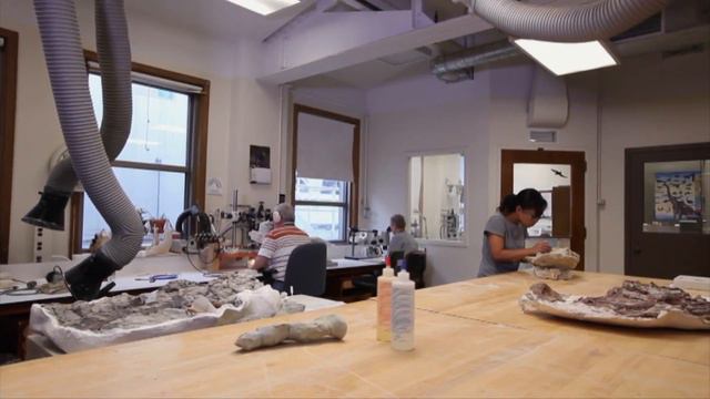 Марсиане — Территория заблуждений с Игорем Прокопенко смотреть онлайн